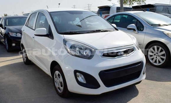 Buy Import Kia Picanto White Car in Import - Dubai in Anse-la-Raye