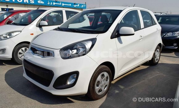 Acheter Import Voiture Kia Picanto Blanc à Import - Dubai, Anse-la-Raye Acheter Import Voiture Kia Picanto Blanc à Import - Dubai, Anse-la-Raye