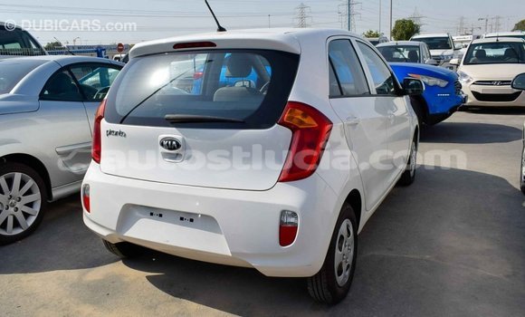 Acheter Import Voiture Kia Picanto Blanc à Import - Dubai, Anse-la-Raye Acheter Import Voiture Kia Picanto Blanc à Import - Dubai, Anse-la-Raye