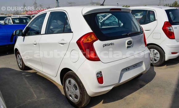 Acheter Import Voiture Kia Picanto Blanc à Import - Dubai, Anse-la-Raye Acheter Import Voiture Kia Picanto Blanc à Import - Dubai, Anse-la-Raye