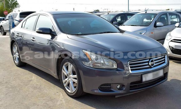 Buy Import Nissan Maxima Other Car in Import - Dubai in Anse-la-Raye Buy Import Nissan Maxima Other Car in Import - Dubai in Anse-la-Raye