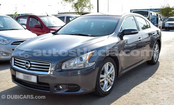 Buy Import Nissan Maxima Other Car in Import - Dubai in Anse-la-Raye Buy Import Nissan Maxima Other Car in Import - Dubai in Anse-la-Raye
