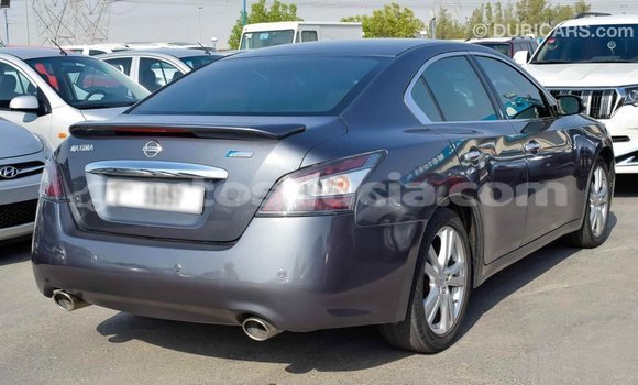Buy Import Nissan Maxima Other Car in Import - Dubai in Anse-la-Raye Buy Import Nissan Maxima Other Car in Import - Dubai in Anse-la-Raye