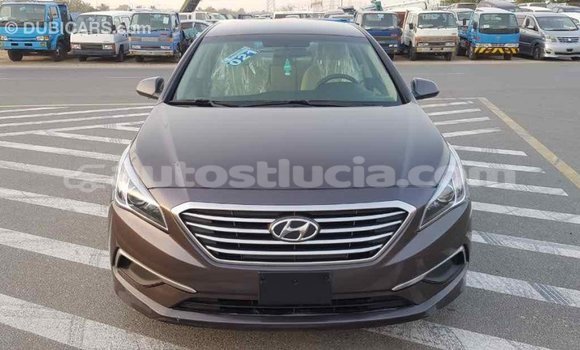 Buy Import Hyundai Sonata Brown Car in Import - Dubai in Anse-la-Raye Buy Import Hyundai Sonata Brown Car in Import - Dubai in Anse-la-Raye