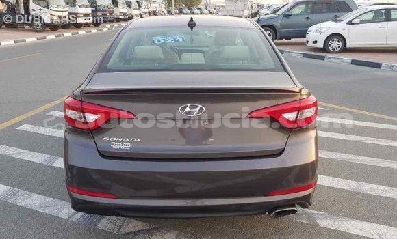 Buy Import Hyundai Sonata Brown Car in Import - Dubai in Anse-la-Raye Buy Import Hyundai Sonata Brown Car in Import - Dubai in Anse-la-Raye