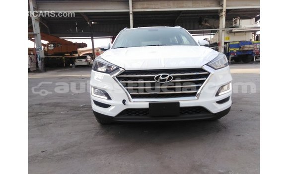 Acheter Import Voiture Hyundai Tucson Blanc à Import - Dubai, Anse-la-Raye Acheter Import Voiture Hyundai Tucson Blanc à Import - Dubai, Anse-la-Raye