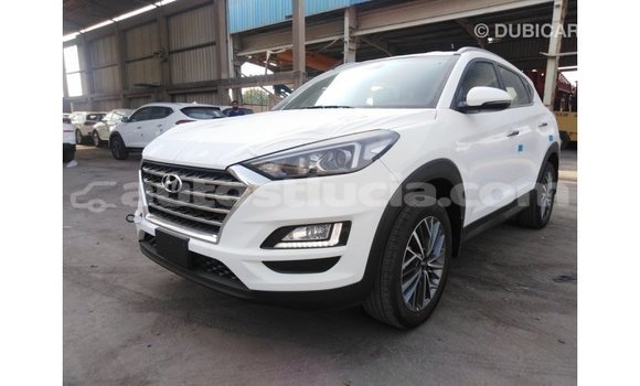 Acheter Import Voiture Hyundai Tucson Blanc à Import - Dubai, Anse-la-Raye Acheter Import Voiture Hyundai Tucson Blanc à Import - Dubai, Anse-la-Raye