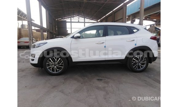 Acheter Import Voiture Hyundai Tucson Blanc à Import - Dubai, Anse-la-Raye Acheter Import Voiture Hyundai Tucson Blanc à Import - Dubai, Anse-la-Raye