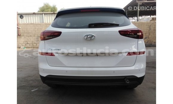 Acheter Import Voiture Hyundai Tucson Blanc à Import - Dubai, Anse-la-Raye Acheter Import Voiture Hyundai Tucson Blanc à Import - Dubai, Anse-la-Raye