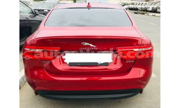 Buy Import Jaguar XE Red Car in Import - Dubai in Anse-la-Raye Buy Import Jaguar XE Red Car in Import - Dubai in Anse-la-Raye