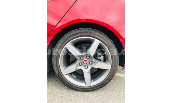 Buy Import Jaguar XE Red Car in Import - Dubai in Anse-la-Raye Buy Import Jaguar XE Red Car in Import - Dubai in Anse-la-Raye
