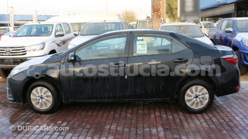 Big with watermark 47562bc4 3bc5 43ee 9f40 ca443ffb081f