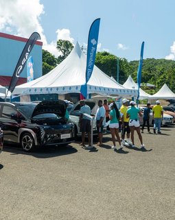 Thumb st lucia feria